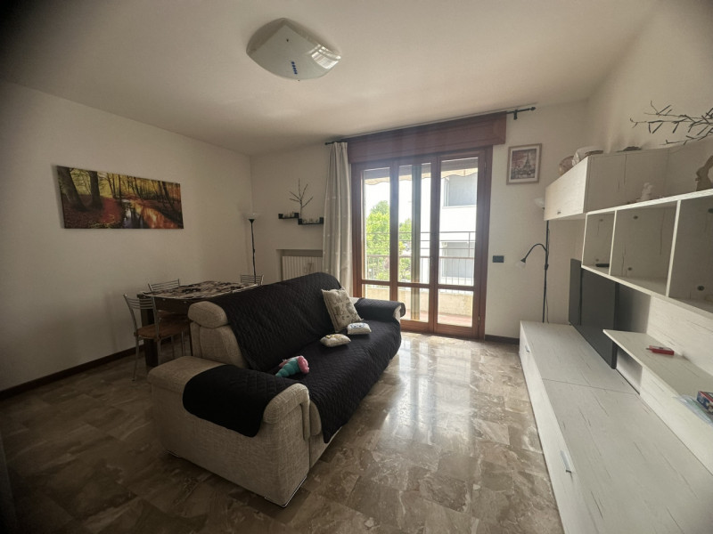 Zona Facciolati disponibile locazione a studentessa stanza matrimoniale in condivisione con altra...