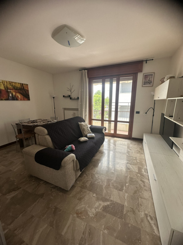 Zona Facciolati disponibile locazione a studentessa stanza matrimoniale in condivisione con altra...