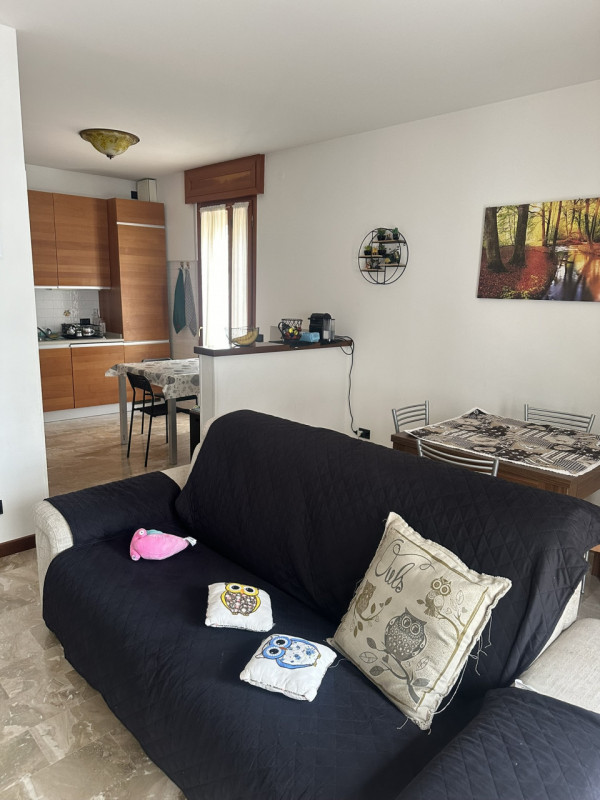 Zona Facciolati disponibile locazione a studentessa stanza matrimoniale in condivisione con altra...