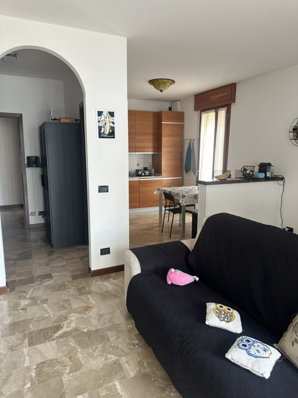 Zona Facciolati disponibile locazione a studentessa stanza matrimoniale in condivisione con altra...