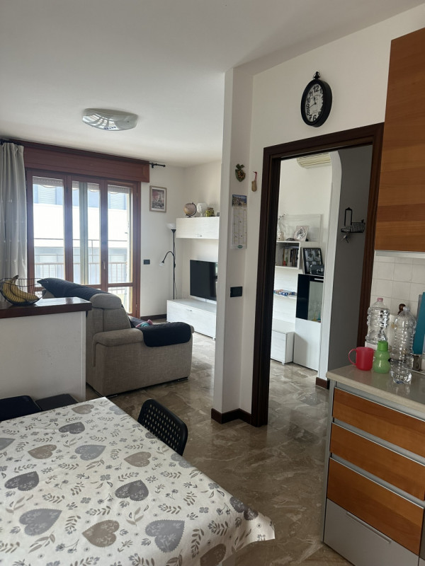 Zona Facciolati disponibile locazione a studentessa stanza matrimoniale in condivisione con altra...