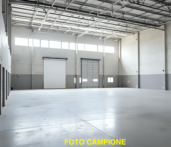RIF: 098.1NM - Maserà di padova (PD) - PER INFO 340 335 8378 - 0444/310220


Propongo in affitto ...