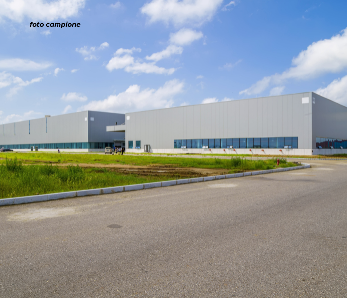 RIF: 098.1NM - Maserà di padova (PD) - PER INFO 340 335 8378 - 0444/310220


Propongo in affitto ...