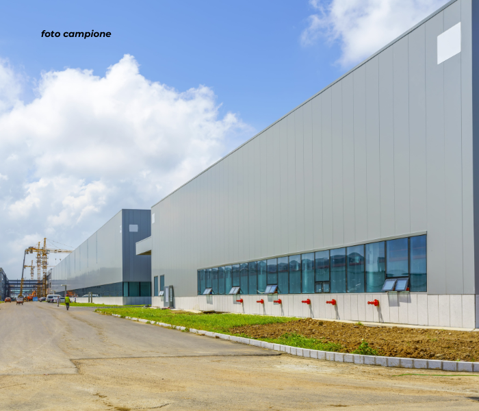 RIF: 098.1NM - Maserà di padova (PD) - PER INFO 340 335 8378 - 0444/310220


Propongo in affitto ...