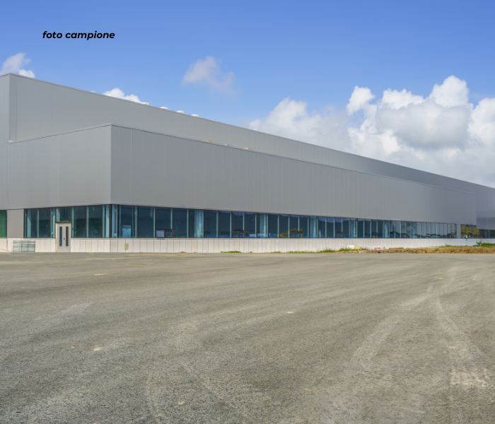 RIF: 098.1NM - Maserà di padova (PD) - PER INFO 340 335 8378 - 0444/310220


Propongo in affitto ...