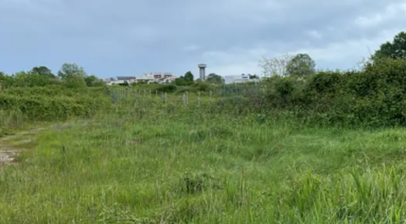 Rif. A.A.3-251

Vendita all'asta - terreno agricolo in data 18 dicembre 2025

Descrizione: tratta...