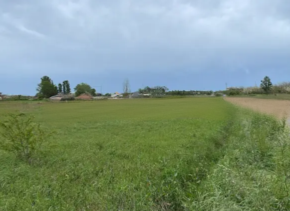 Rif. A.A.3-253

Vendita all'asta - terreno agricolo in data 18 dicembre 2025

Descrizione: tratta...