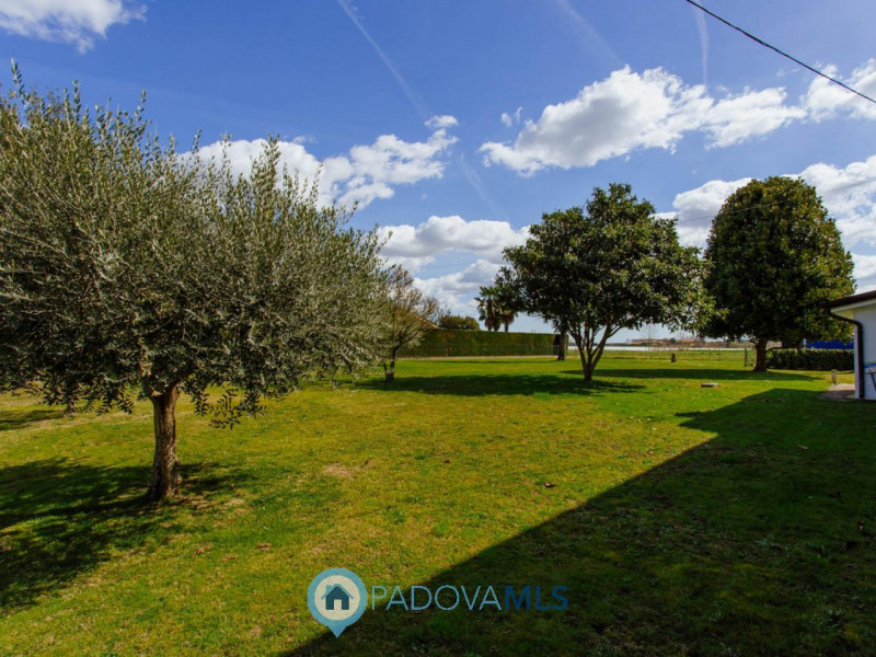 Immobile in esclusiva al Gruppo Padova MLS
Vendesi abitazione singola con ampio giardino in comun...
