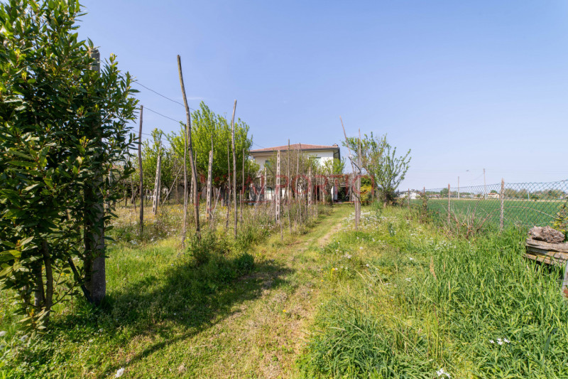 ARZERGRANDE - CASA composta da n.2 APPARTAMENTI indipendenti con 2000 MQ. di area esterna. 

COMP...