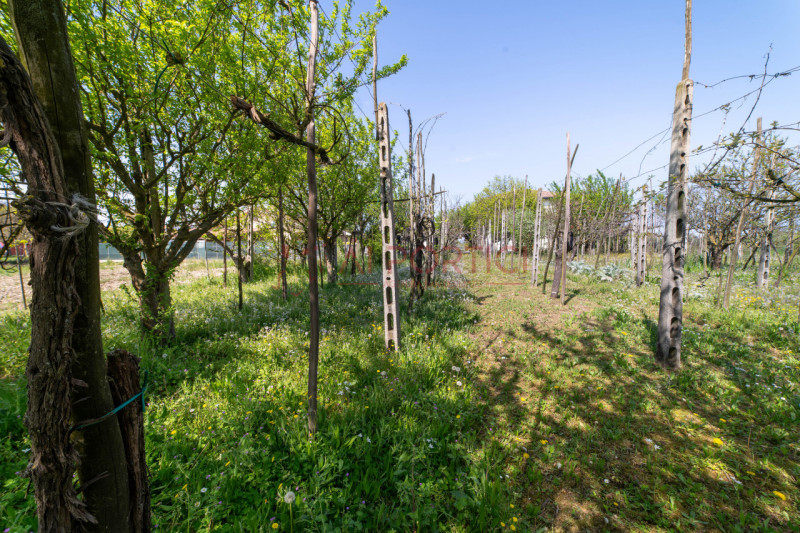 ARZERGRANDE - CASA composta da n.2 APPARTAMENTI indipendenti con 2000 MQ. di area esterna. 

COMP...