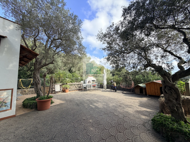 Scopri questa straordinaria villa moderna situata nella rinomata zona Zaro di Forio, sull'isola d...