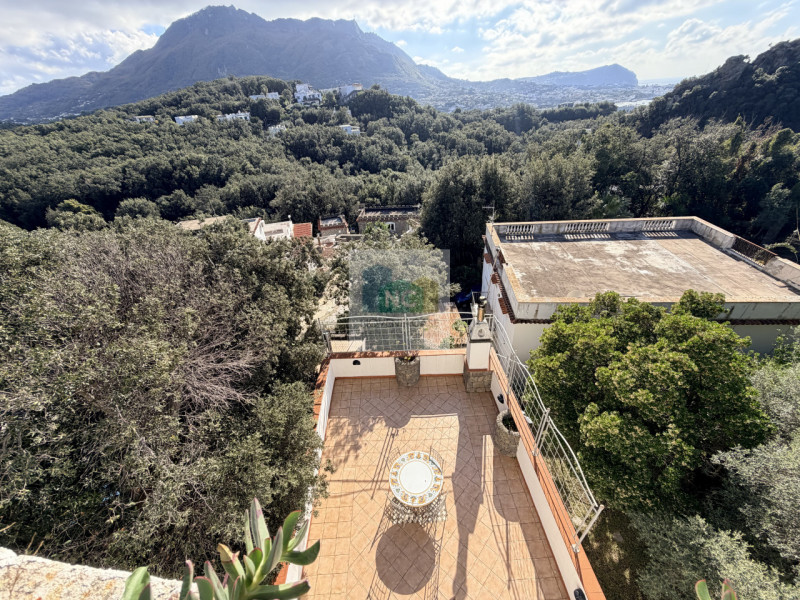 Scopri questa straordinaria villa moderna situata nella rinomata zona Zaro di Forio, sull'isola d...