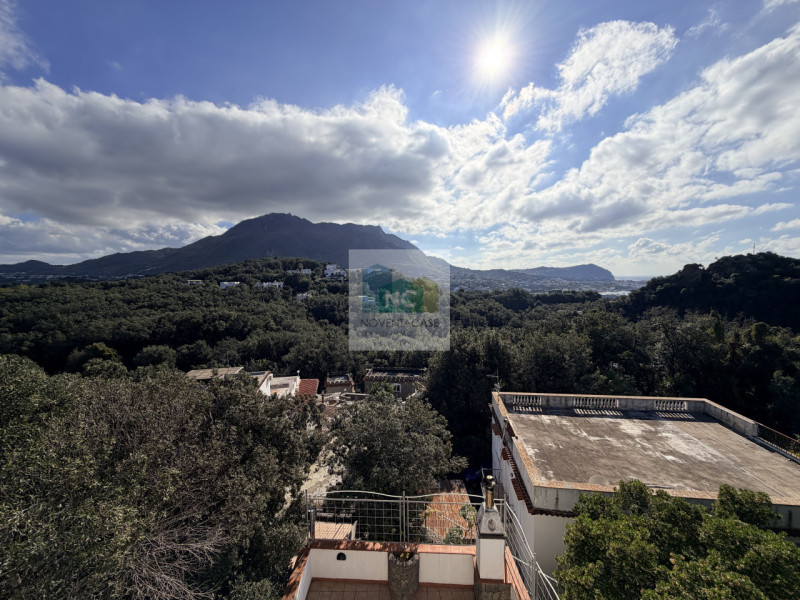 Scopri questa straordinaria villa moderna situata nella rinomata zona Zaro di Forio, sull'isola d...