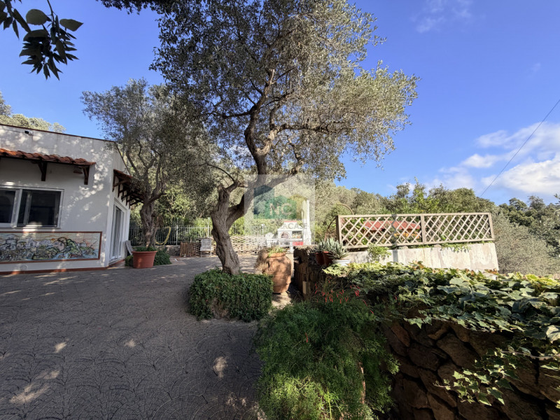 Scopri questa straordinaria villa moderna situata nella rinomata zona Zaro di Forio, sull'isola d...