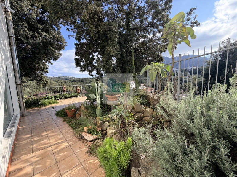 Scopri questa straordinaria villa moderna situata nella rinomata zona Zaro di Forio, sull'isola d...