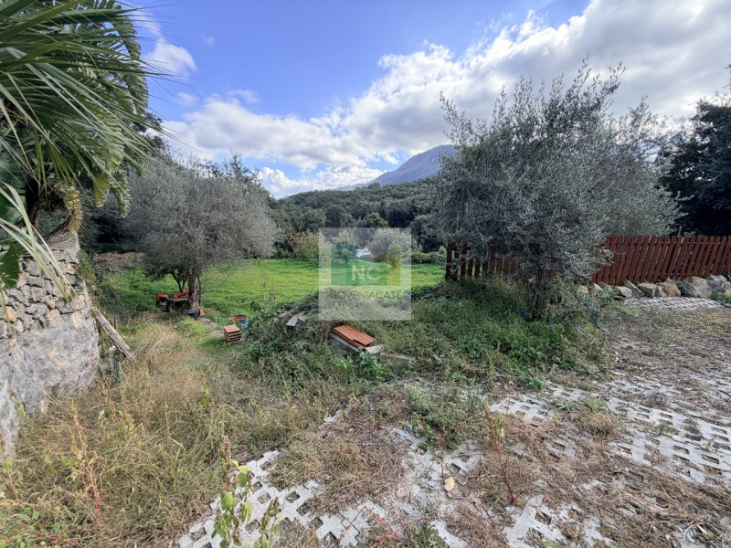 Scopri questa straordinaria villa moderna situata nella rinomata zona Zaro di Forio, sull'isola d...