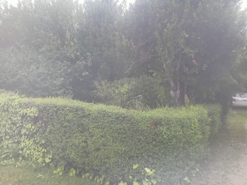 Se stai cercando un rifugio tranquillo immerso nel verde e lontano dal caos cittadino, questa è l...