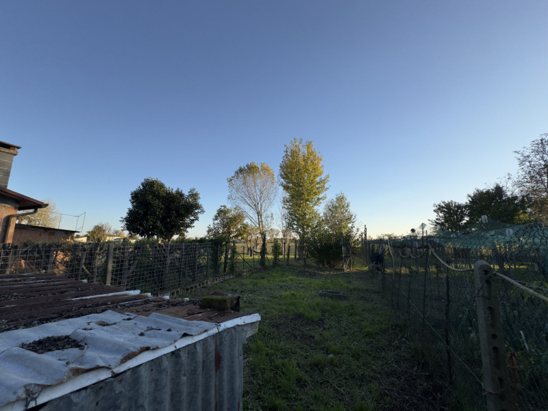 COMPOSIZIONE:
Trattasi di compendio immobiliare, costituito al piano terra, da ingresso, locale p...