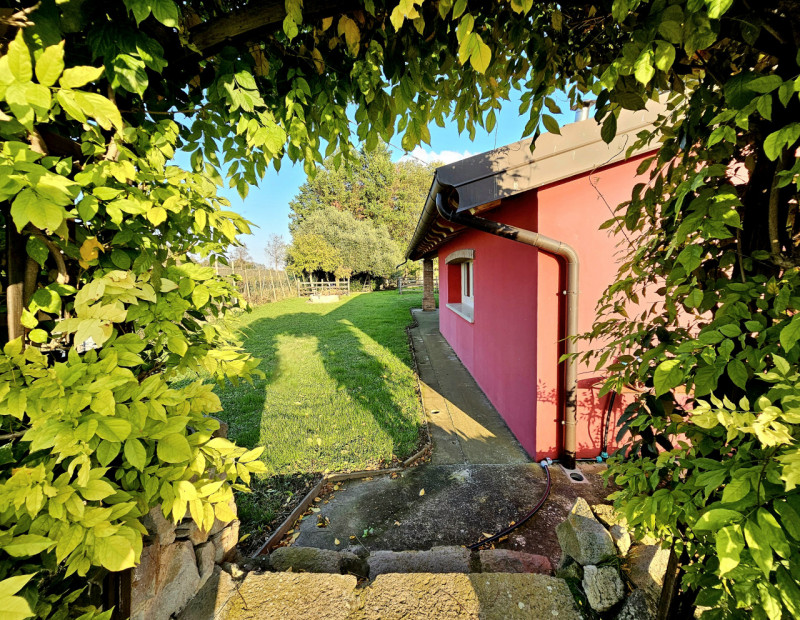 A Monselice, in una zona tranquilla e defilata, ai piedi dei Colli Euganei, proponiamo in vendita...