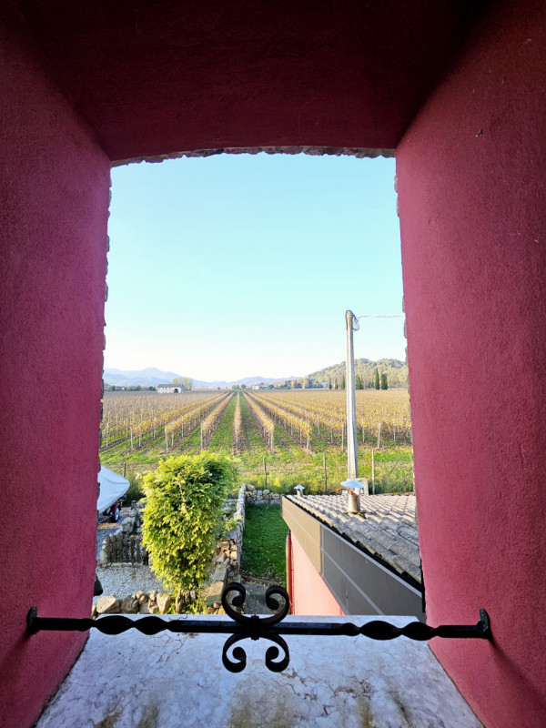 A Monselice, in una zona tranquilla e defilata, ai piedi dei Colli Euganei, proponiamo in vendita...