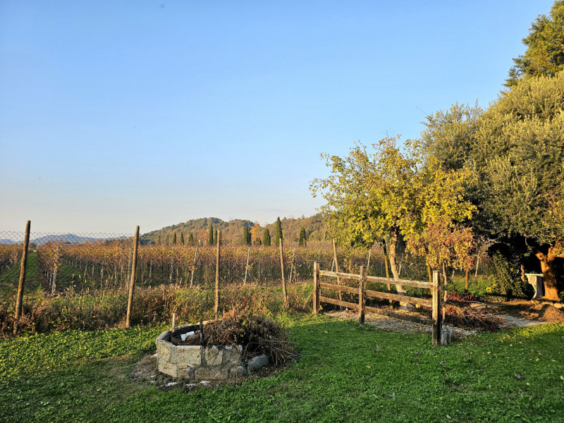A Monselice, in una zona tranquilla e defilata, ai piedi dei Colli Euganei, proponiamo in vendita...
