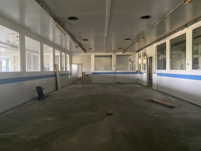 Nella via commerciale di Santa Giustina In Colle, proponiamo in vendita un ampio capannone singol...