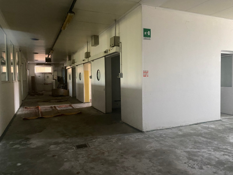 Nella via commerciale di Santa Giustina In Colle, proponiamo in vendita un ampio capannone singol...