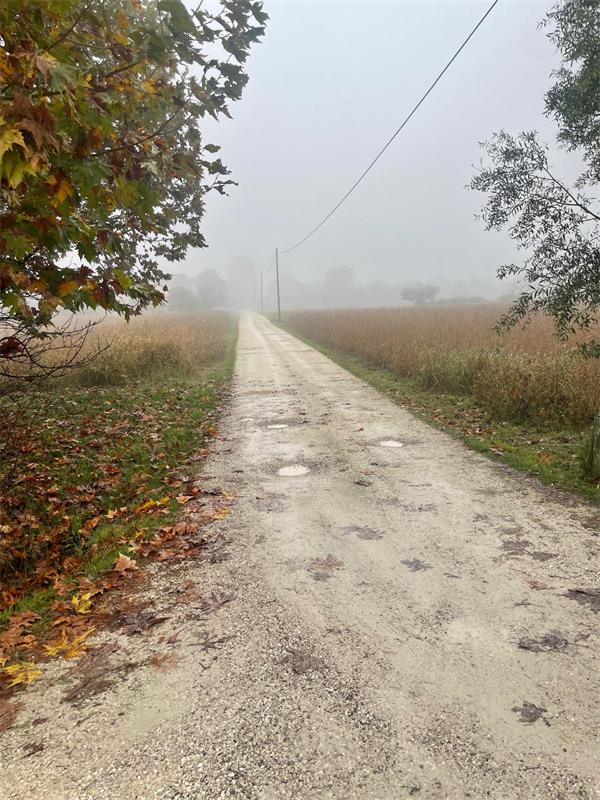 A.i. 3-25

Vendesi all'asta capannone artigianale in data 5 dicembre 2025

Capannone industriale ...