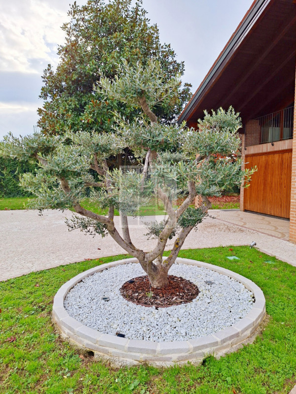 A SAN GIORGIO DELLE PERTICHE i tuoi sogni si realizzano!

Proponiamo una CASA SINGOLA con ingress...