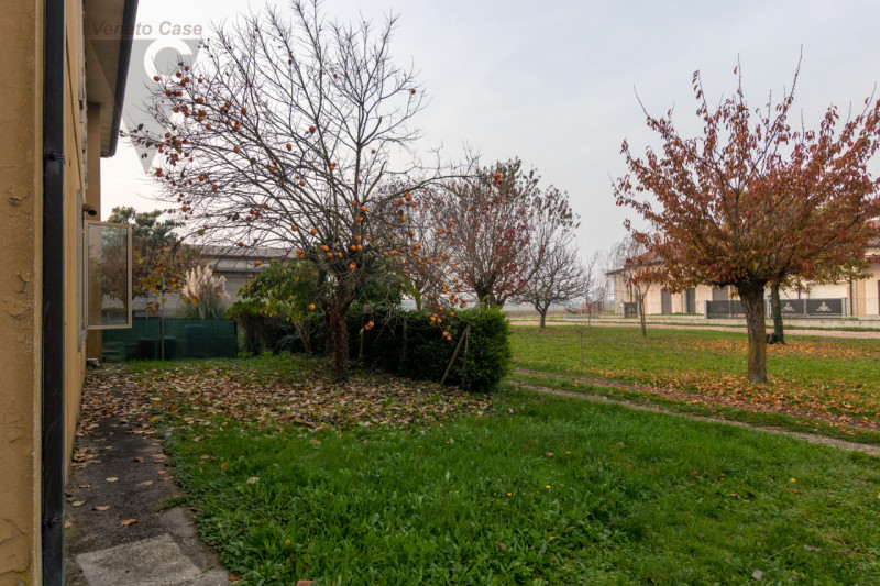 In zona limitrofa al centro del paese, sulla direttrice che conduce a Bovolenta, attorniati da un...