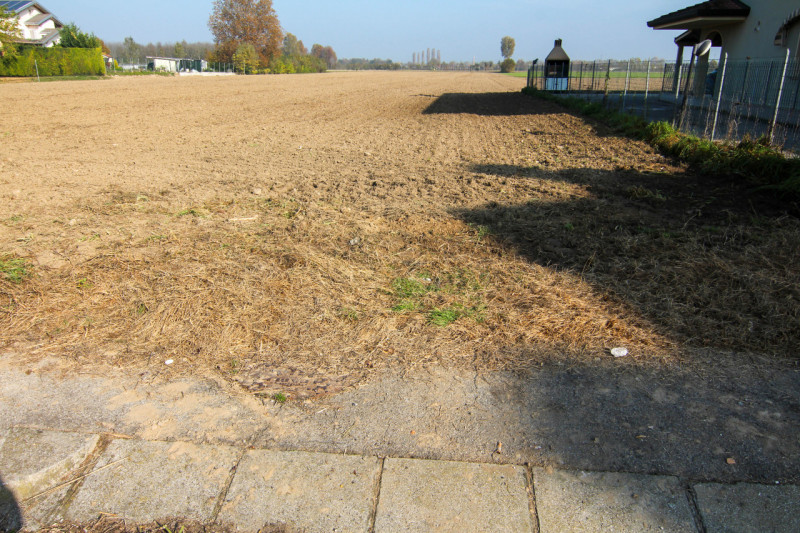 In quartiere residenziale a Vigorovea di Sant'Angelo di Piove di Sacco, proponiamo in vendita int...