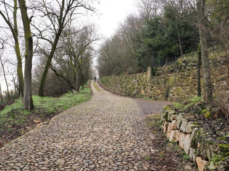 Scopri il tuo rifugio ideale tra i suggestivi Colli Berici! Proponiamo camere per affitti brevi d...