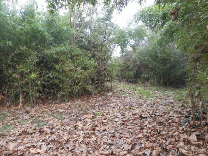 Rif. A.A.292-231

Vendita all'asta - abitazione unifamiliare su 2 livelli in data 13 gennaio 2026...