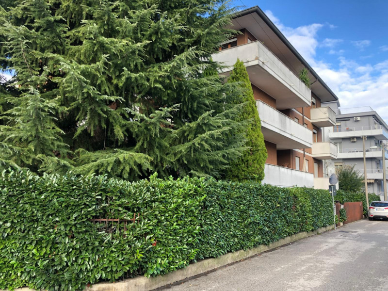 Sacra Famiglia affittasi a studenti/specializzandi referenziati signorile appartamento piano inte...