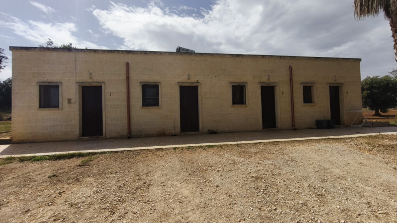 immagine annuncio 10 di 15