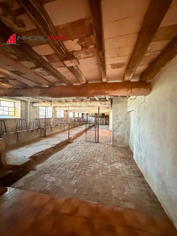 Un’antica dimora dal fascino autentico, immersa nel silenzio e nella natura.
Questa proprietà è c...