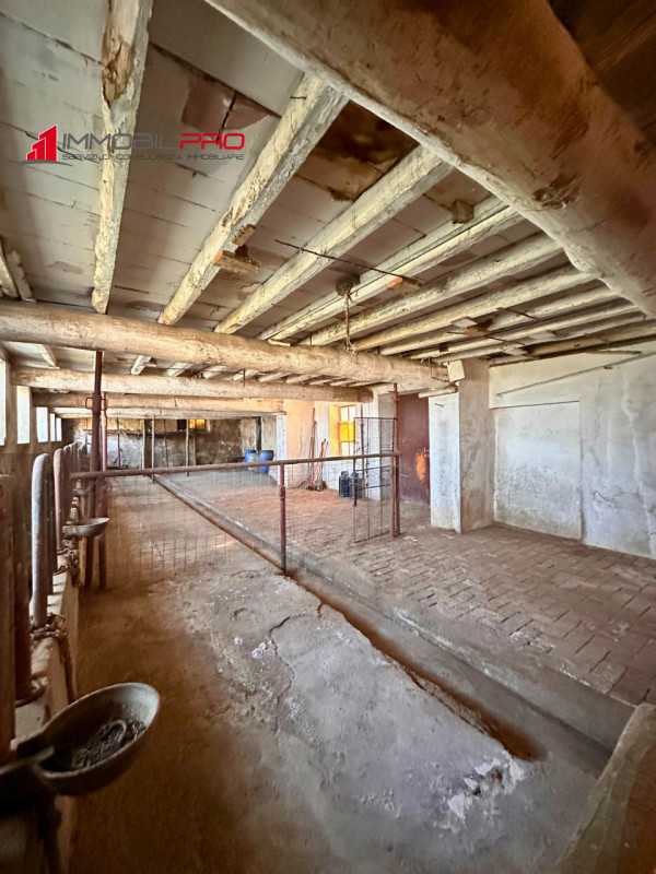 Un’antica dimora dal fascino autentico, immersa nel silenzio e nella natura.
Questa proprietà è c...