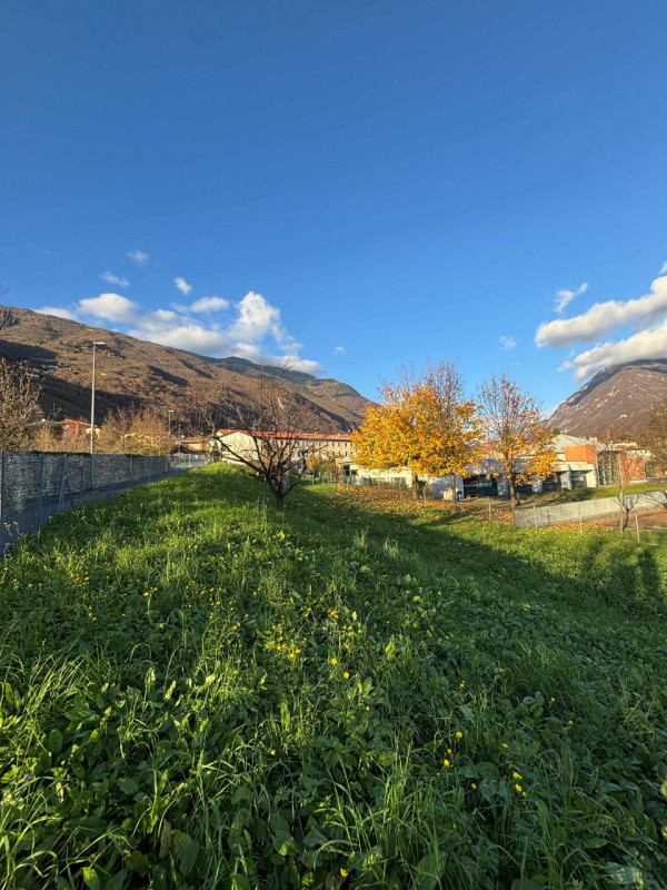 Proponiamo in vendita un terreno agricolo di circa 500 mq situato nel comune di Vittorio Veneto, ...