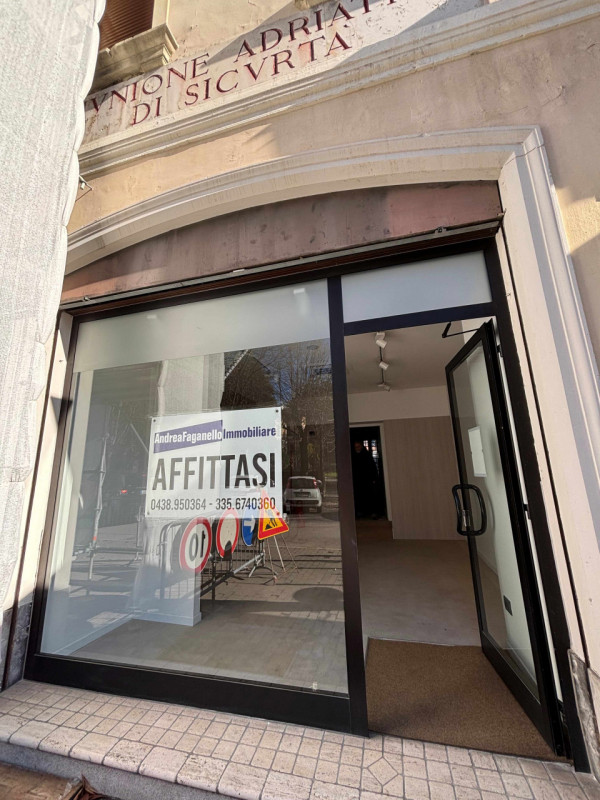 Proponiamo in affitto un luminoso negozio di circa 60 mq situato nella centralissima zona di Vitt...