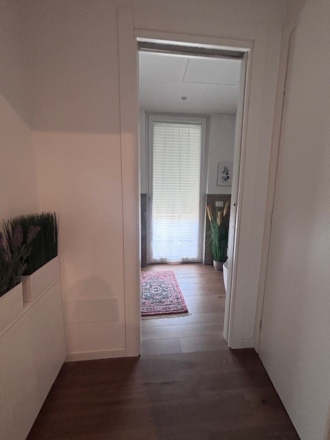 Madonna Pellegrina-Ponte 4 Martiri: splendido (come nuovo) appartamento in palazzina  di recente ...