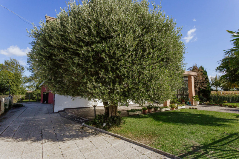 In una tranquilla zona di campagna ad Agna, non distante dal centro del paese, proponiamo in vend...