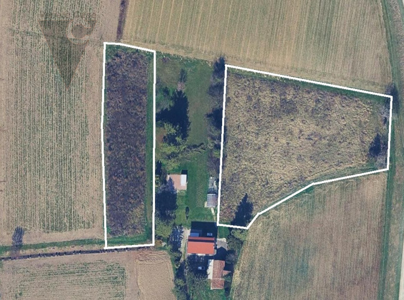 Vicinanza argine via Mascagni vendesi appezzamenti di terreno agricolo per un totale di 7625 mq c...