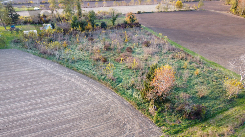 Vicinanza argine via Mascagni vendesi appezzamenti di terreno agricolo per un totale di 7625 mq c...