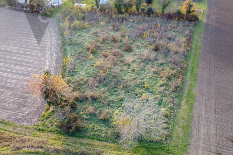 Vicinanza argine via Mascagni vendesi appezzamenti di terreno agricolo per un totale di 7625 mq c...