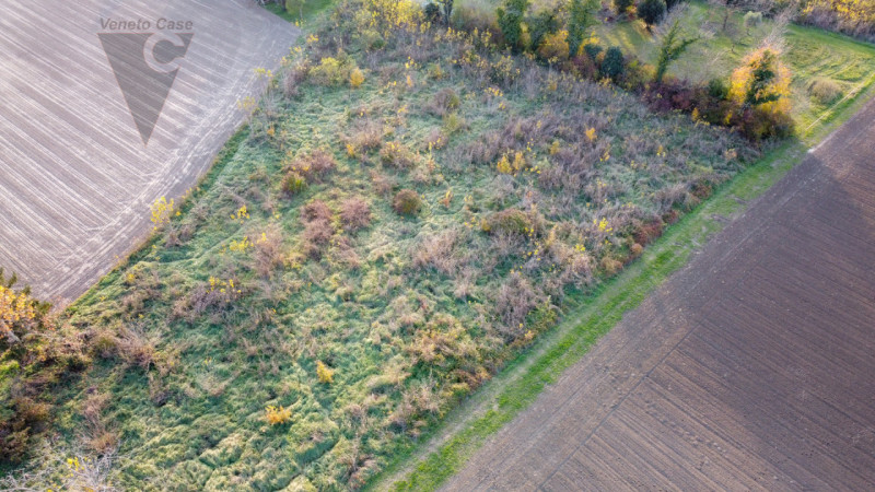 Vicinanza argine via Mascagni vendesi appezzamenti di terreno agricolo per un totale di 7625 mq c...