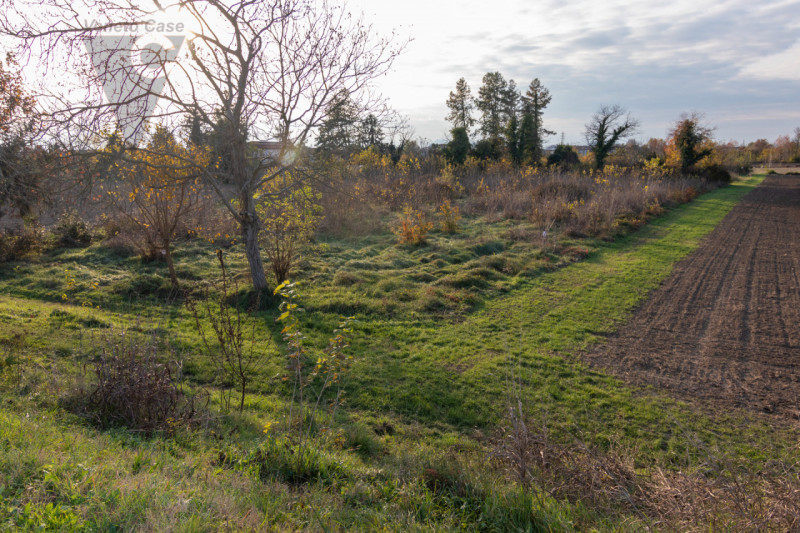 Vicinanza argine via Mascagni vendesi appezzamenti di terreno agricolo per un totale di 7625 mq c...