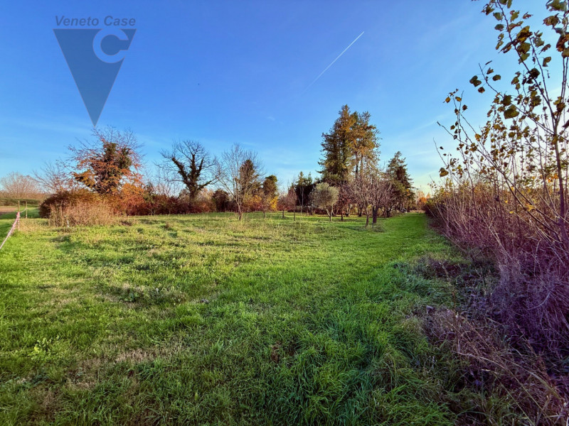 Vicinanza argine via Mascagni vendesi appezzamenti di terreno agricolo per un totale di 7625 mq c...