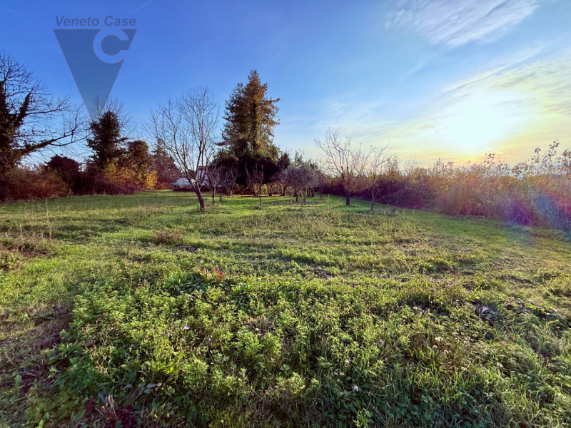 Vicinanza argine via Mascagni vendesi appezzamenti di terreno agricolo per un totale di 7625 mq c...