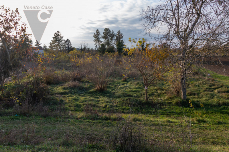 Vicinanza argine via Mascagni vendesi appezzamenti di terreno agricolo per un totale di 7625 mq c...