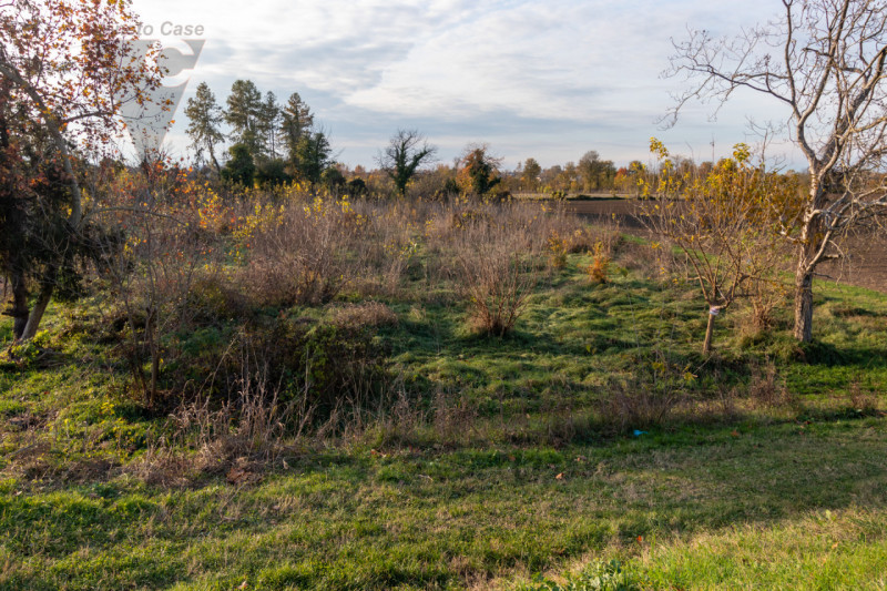 Vicinanza argine via Mascagni vendesi appezzamenti di terreno agricolo per un totale di 7625 mq c...